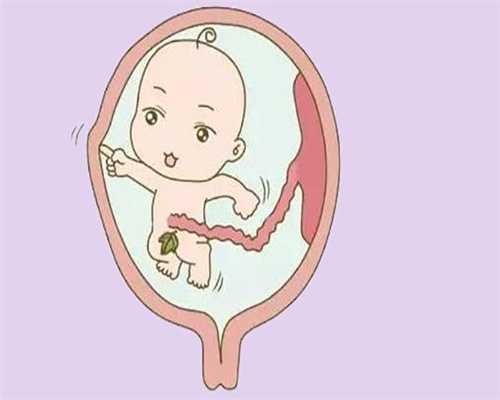 北京海外助孕服务公司,怀孕前注意事项怀孕前饮