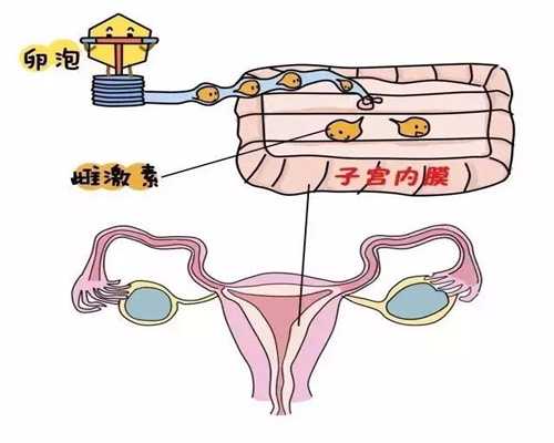 北京私人代孕医院_7个小毛病暗示孕前要排毒