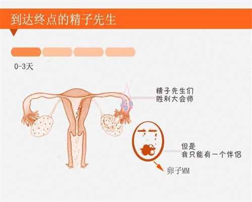北京专业代怀孕联系电话_北京最大助孕公司