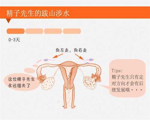 北京专业代怀孕联系电话_北京最大助孕公司