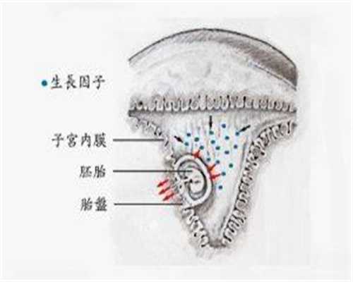 北京世纪专业代怀孕_产后常见催乳方法有哪些