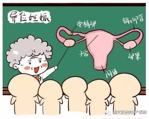 在北京找代孕女_100%生女儿的秘方有