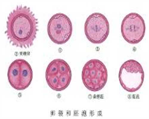 北京代孕试管中心官网_拉霍亚生育医疗中心（a Jolla IVF）人气指数五颗星