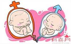 北京代孕2020年_2017年八月份出生的鸡宝宝好吗