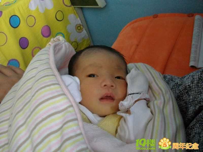 北京代孕龙凤胎_婴儿尿不湿的材质有哪些？