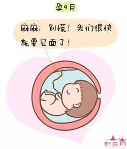 北京代孕网-北京高端代孕网-北京代孕机构哪家好多少钱