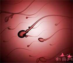 北京代孕有风险吗,北京如何做合法代孕【北京精准代孕，献给不孕的你】
