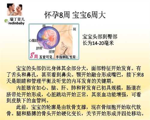 北京代孕产子价格介绍_代怀孕双胞胎价格表_代孕网站广州