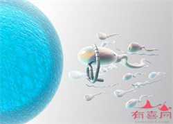 北京试管代孕的成功率怎么样-多囊卵巢做供卵试管婴儿_【我为群众办实事】北