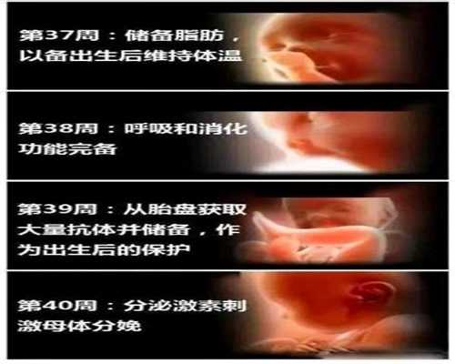 北京试管代孕的成功率怎么样-最靠谱代孕机构_最新版2021北京三代试管婴儿最好
